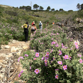 lambesc-balade-vigie