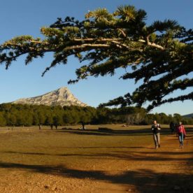 Vue sur le plateau et Ste Victoire et promeneurs