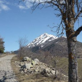 piste de randonnée