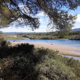 Pins et La Durance vue depuis la garrigue de Mérindol.