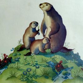 aquarelle de Samivel Les marmottes