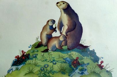 aquarelle de Samivel Les marmottes