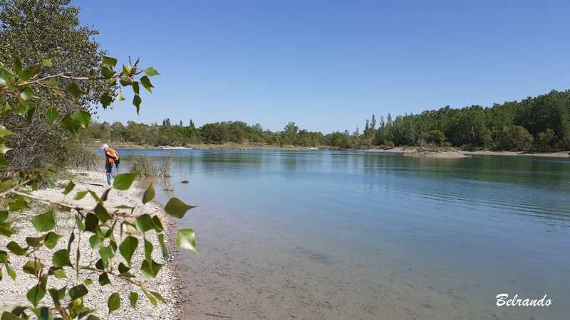Plan d'eau de Malespine Sénas